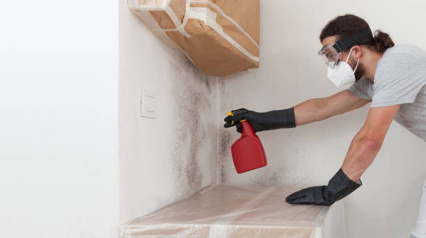 Professional Commercial Mold Remediation technician working in Worcester, MA