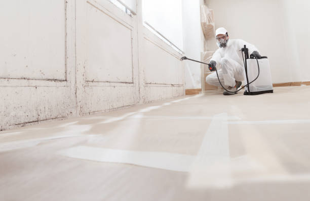 24/7 Emergency Commercial Mold Remediation experts in Worcester, MA