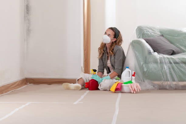 Reliable Commercial Mold Remediation contractor in Worcester, MA by WQB Mold Removal